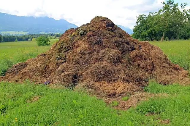 composting photo