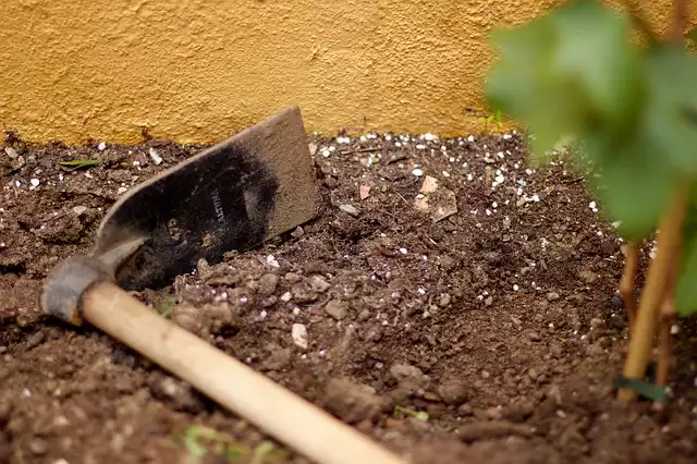 How to Prepare Soil for Plant Vegetables & Flowers