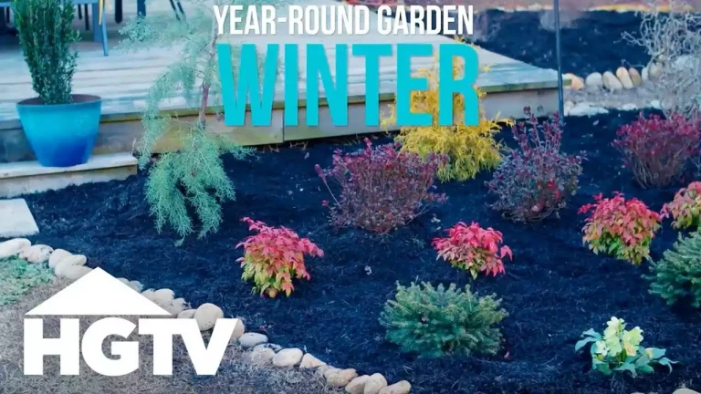 Why you might benefit from a winter landscaping project
