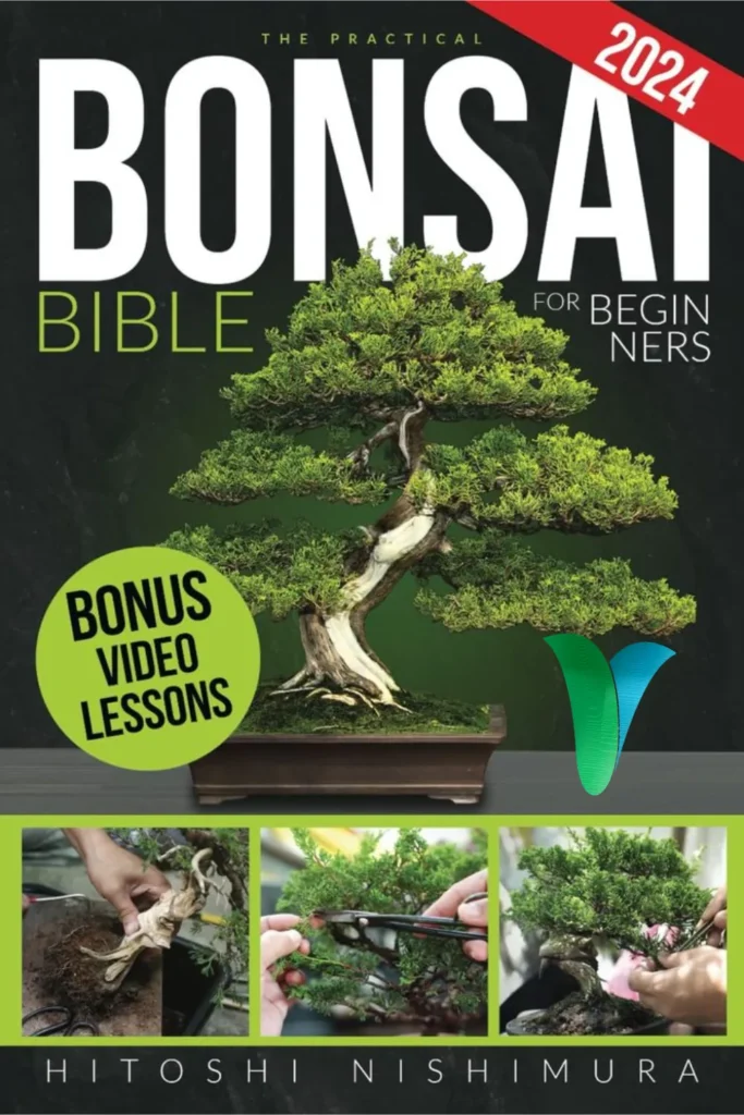 How to Take Care of a Bonsai Tree